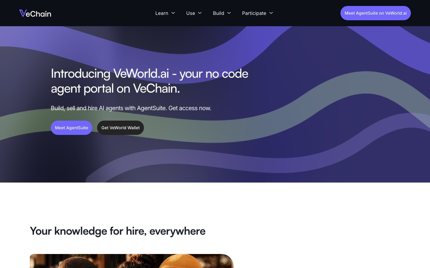 The VeChain site, with the products and the VeWorld wallet